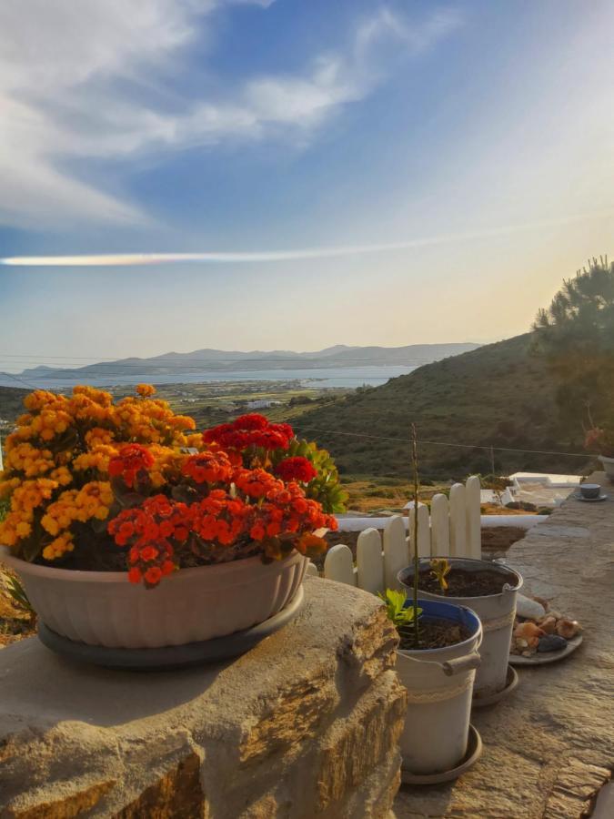 Romantic Sunset Cycladic House In Sotires Moni Christou Dasous Exteriér fotografie